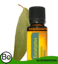 Eucalyptus Oil