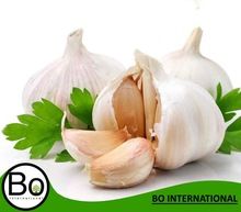 Natural Garlic Oil