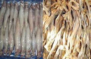 Dry Fish