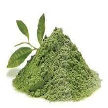 Green Tea Powder