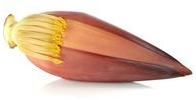 Banana Flower