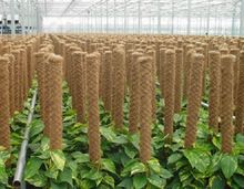 Grow Plant Pole Coir