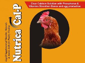 Nutrica Cal-P Supplement