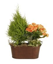 Oval Shape Decorative Planter