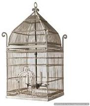 large metal bird cage