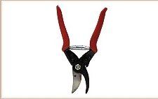 Pruning Shears