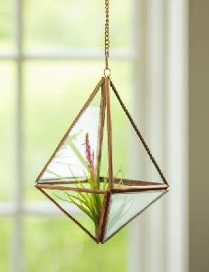 hanging terrarium