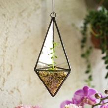 Decorative Metal Terrarium