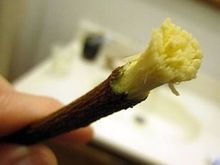 Azadirachta indica Organic Care Neem Toothbrush Chew Sticks Natural Wild Herbs