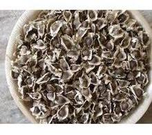 PKM1 Moringa Oleifera Seeds