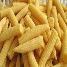 Fresh Baby Corn