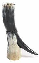 Vikings Drinking Horn