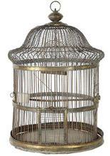 Metal wire Bird Cage