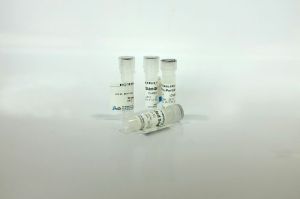 Anti GFP Tag Antibody