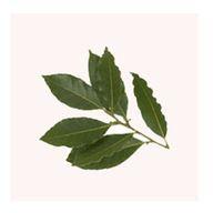 Bay Leaves