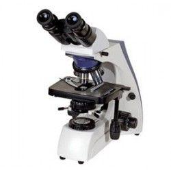 Microscope