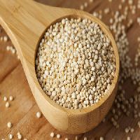 white quinoa seeds