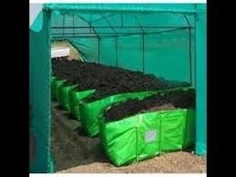 Bio fertilizer