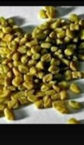 Green Fenugreek Seeds