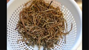 Dried Sangri Beans