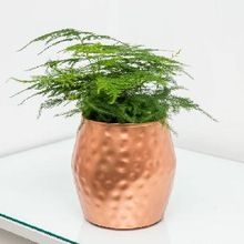 copper flower pot