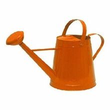 garden decor metal watering can