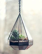 HANGING PLANT GLASS TERRARIUMS