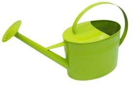 Large Watering Can