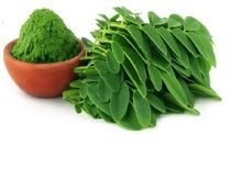 Dried Moringa leaves powder