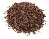 Mustard Seed