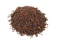 MUSTARD SEED Spices