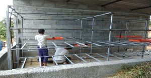 Hydroponic Green Fodder Machine Set Up