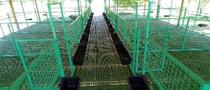 PP Floor Elevated Goat Shed Construction Services