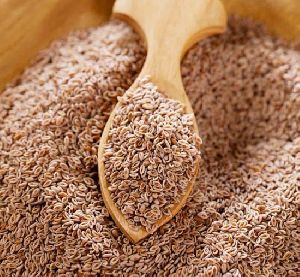 Psyllium Seeds