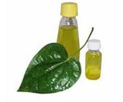 Betel Leaf Oil