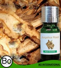 Angelica Root Oil