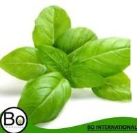 Basil Organic Essential Oil