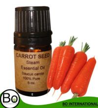 Carrot Seed Essential Oil