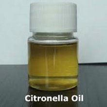 Citronella Essential Oil