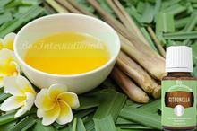 Citronella Oil