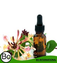 Honeysuckle Essential Oil