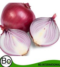 Onion Essential Oil