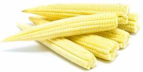 Iqf Baby Corn