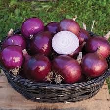 Onion