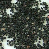 Black Cumins Seed