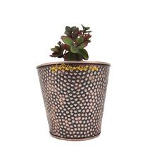 Dotted Galvanized Sheet Planter