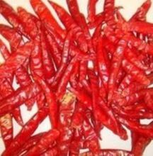 Dried Chili