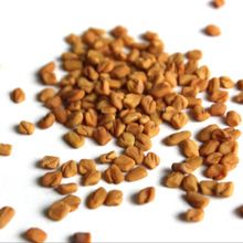 Dried Sortexed Fenugreek Seeds