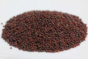 Black Mustard Seeds