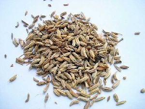 Fennel Seeds